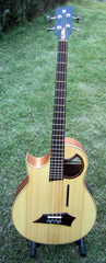 Lefthand Warwick 